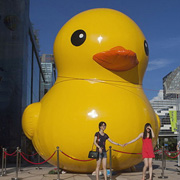 inflatable duck model